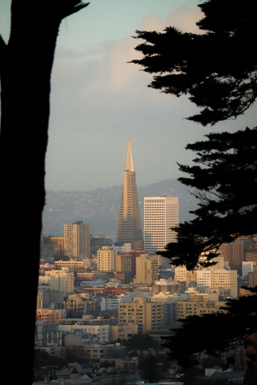 San Francisco's iconic skyline, a city built on the Gold Rush that created demand for the sourdough bread that became its culinary signature.