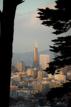 View of San Francisco skyline with Transamerica Pyramid during golden hour.