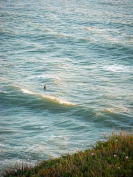 A lone surfer rides waves off the scenic California coastline during a stunning sunset.