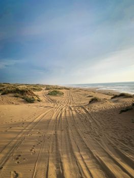 A serene sandy beach with tire tracks leading to the ocean, under a clear blue sky.