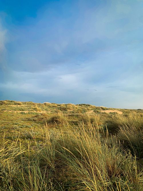 Free Peaceful sand dunes with grasses under a clear sky, perfect for summer stock photos. Stock Photo