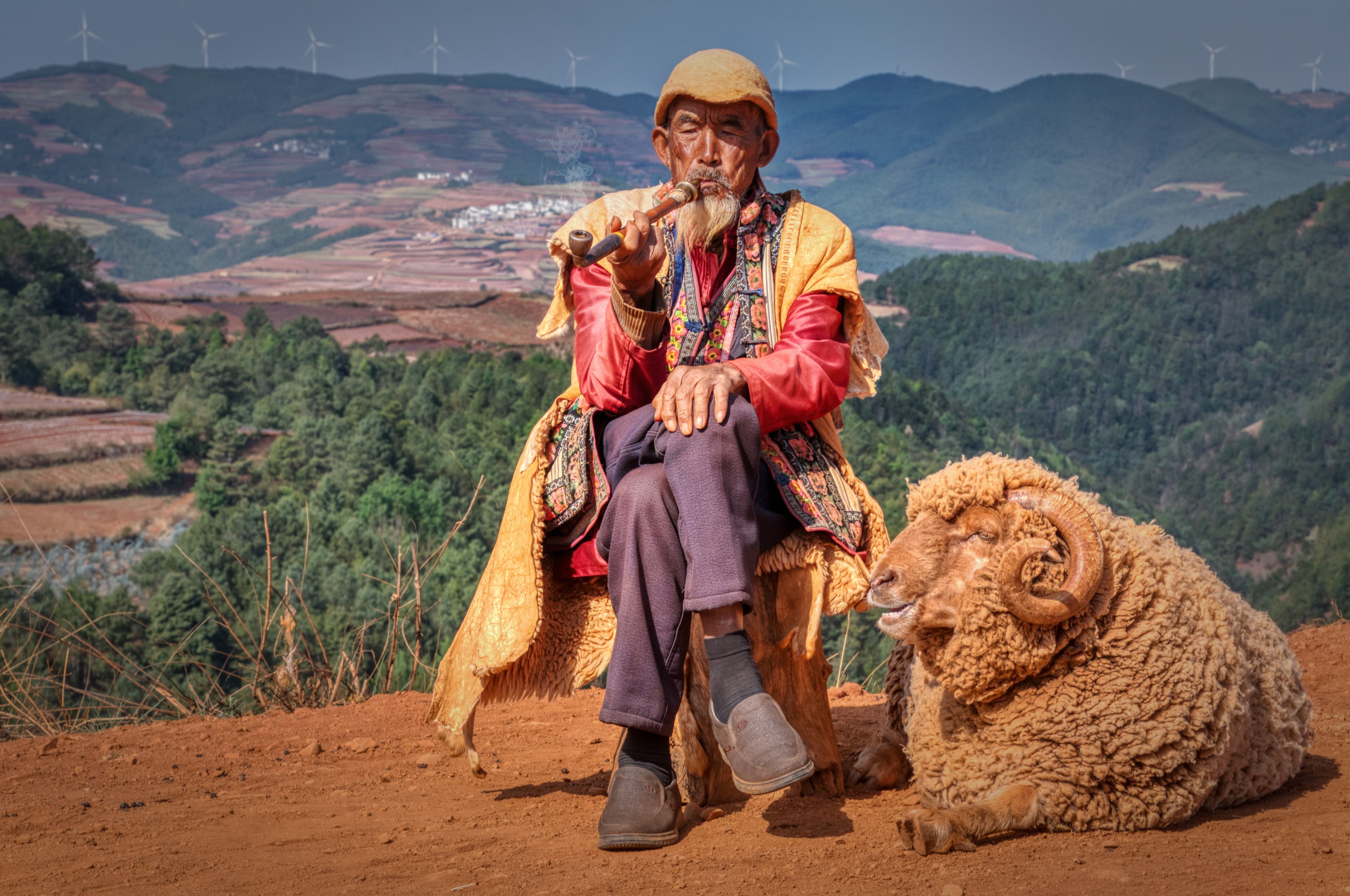 Senior Shepherd with Ram in Rural Landscape · Free Stock Photo