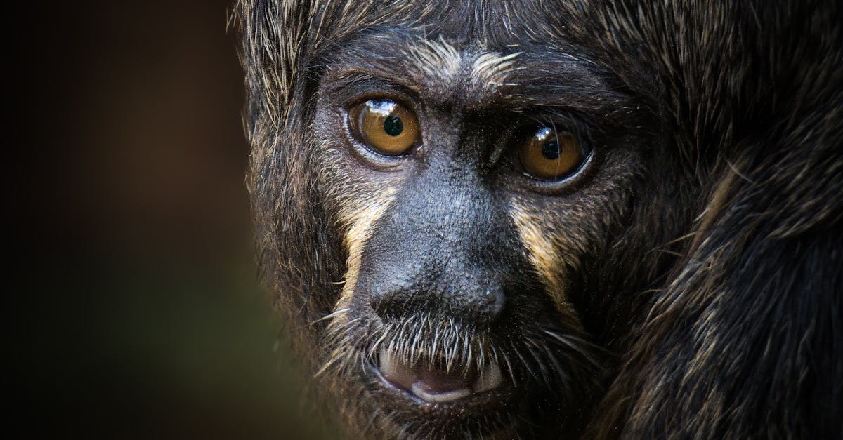 4月29日財經快報:亞馬遜擬標示商品關稅 白宮強力反對