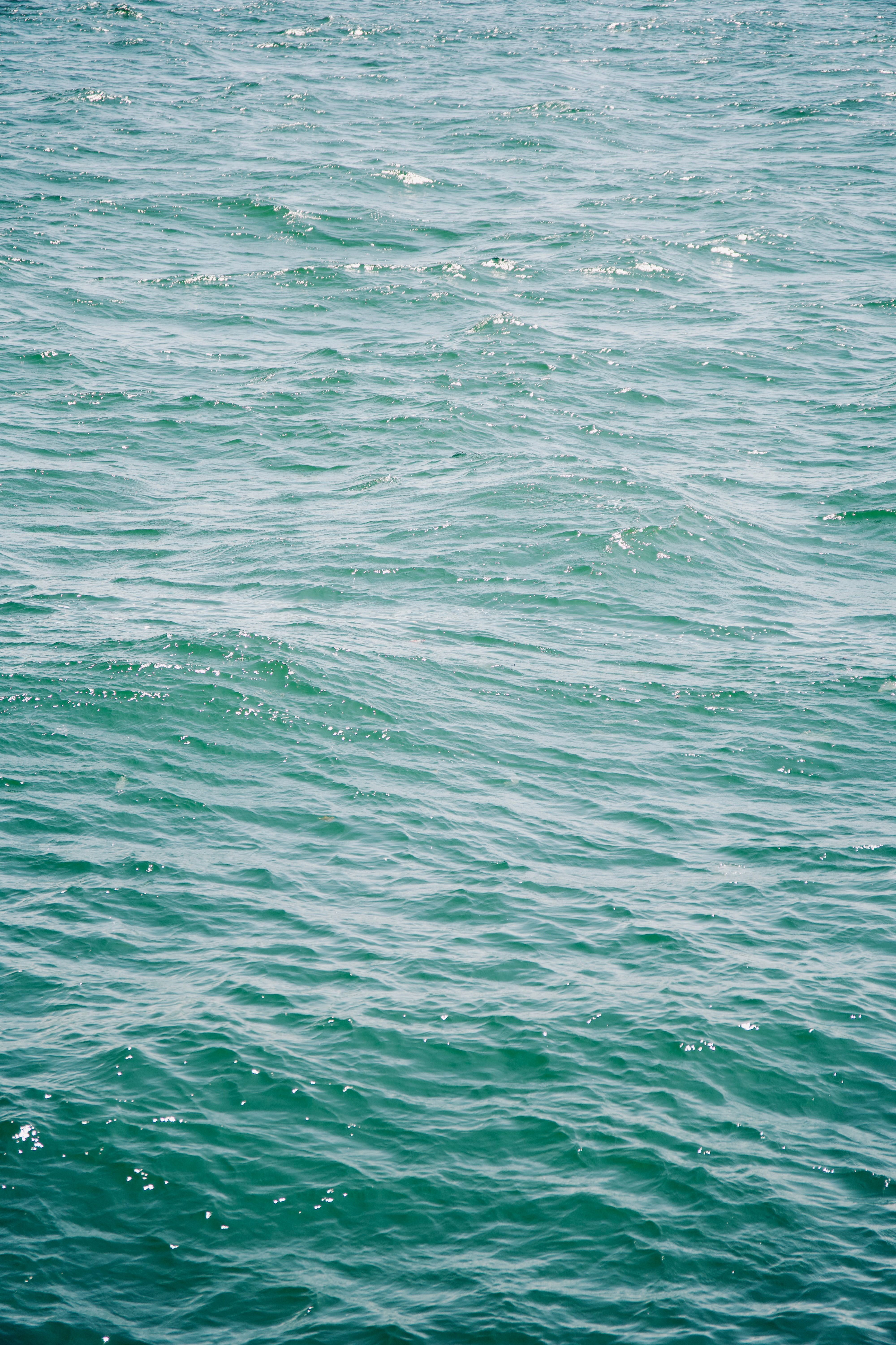 A tranquil view of gentle ocean waves under bright daylight, capturing the essence of the sea.