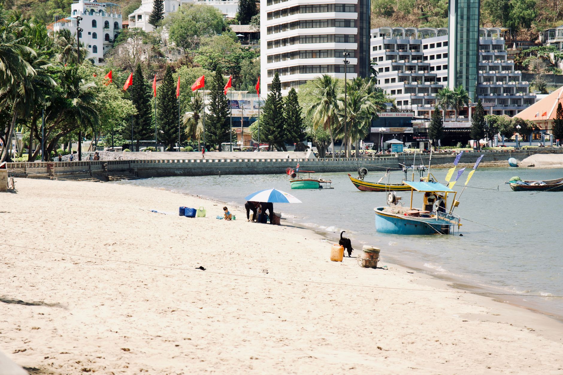 A vibrant beach scene with people enjoying the sand, boats docked, and a city skyline in the background.