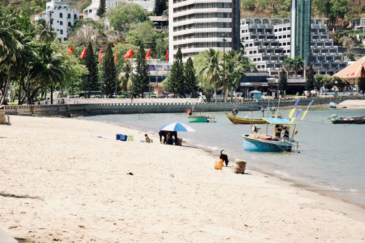 A vibrant beach scene with people enjoying the sand, boats docked, and a city skyline in the background.
