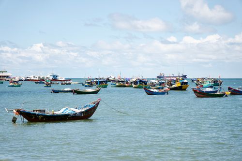 Free Colorful fishing boats float peacefully on a sunny day at sea, perfect for capturing coastal lifestyle. Stock Photo