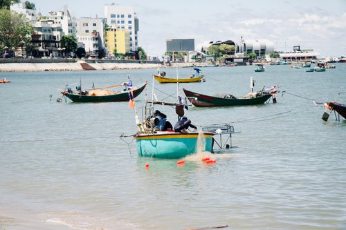 Free Traditional fishing boats in a calm harbor, with a cityscape background under clear skies. Stock Photo