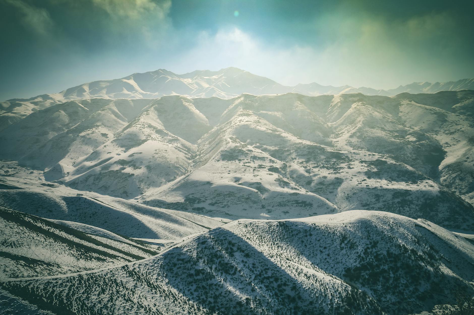 Minecraft Filmine Dev Transfer: Hollywood Yıldızı Küp Dünyasında!