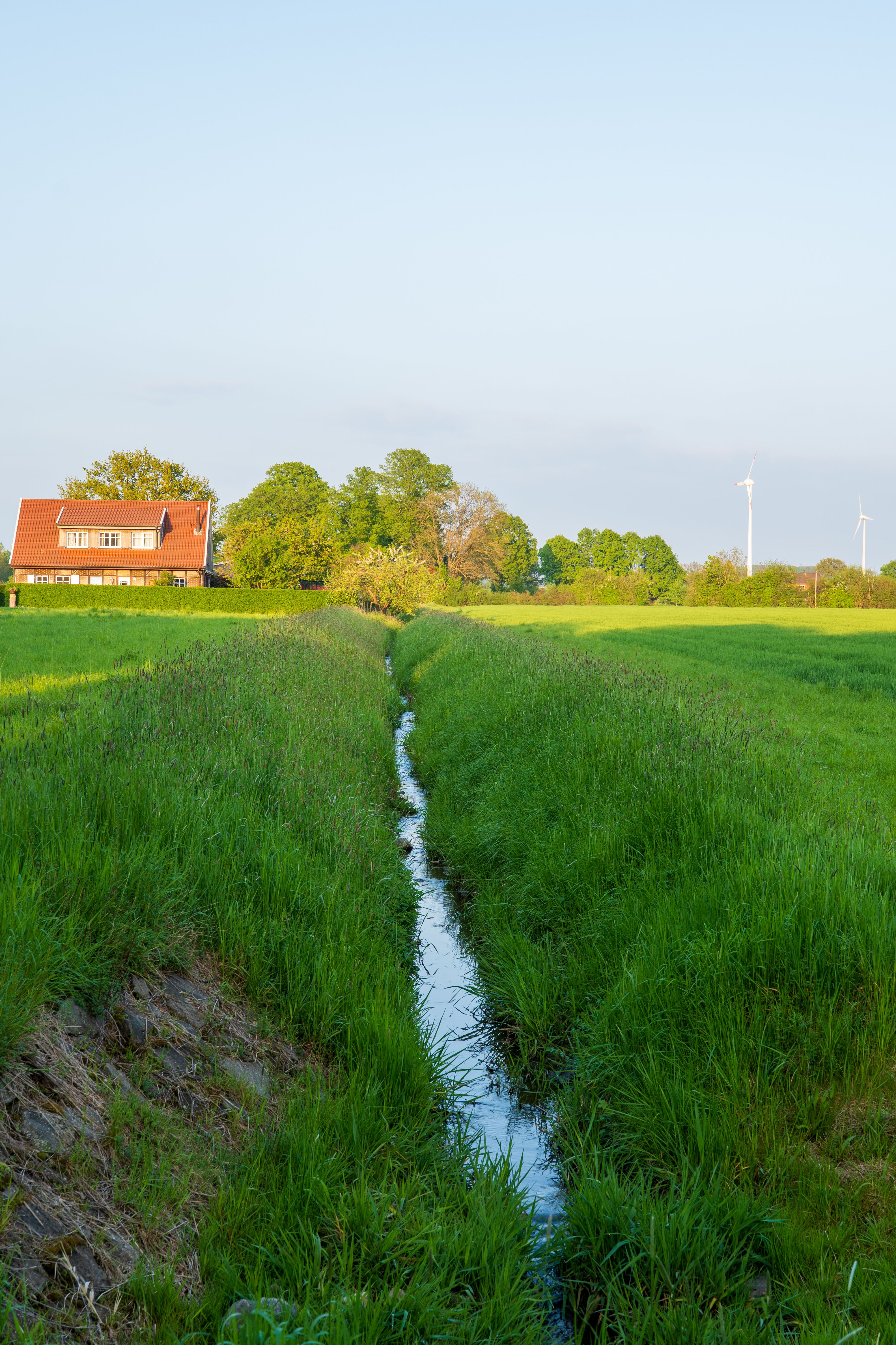 Serene Rural Landscape with Green Field and Stream · Free Stock Photo