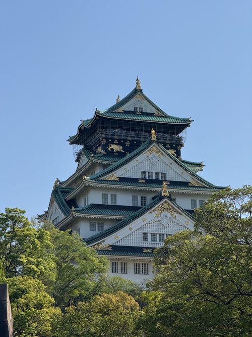 Free Stunning view of Osaka Castle with lush greenery under a bright spring sky. Stock Photo