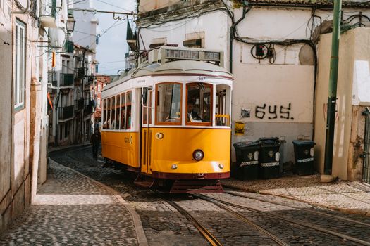 Arrábida coast and wine estate — Lisbon