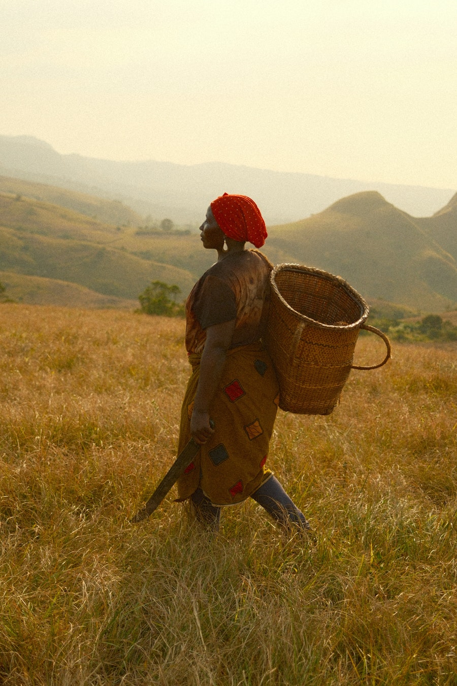 Pexels Photo 31800346