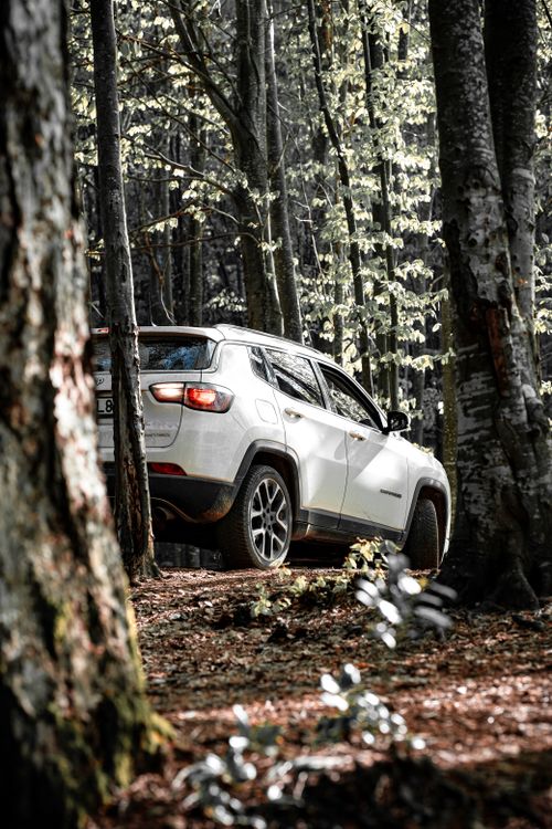 Free White SUV navigating a dense forest trail in Yalova, Türkiye during spring. Stock Photo