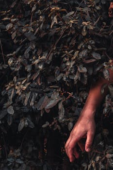 一只神秘的手从黑暗的绿叶中伸出，营造出超现实的户外场景