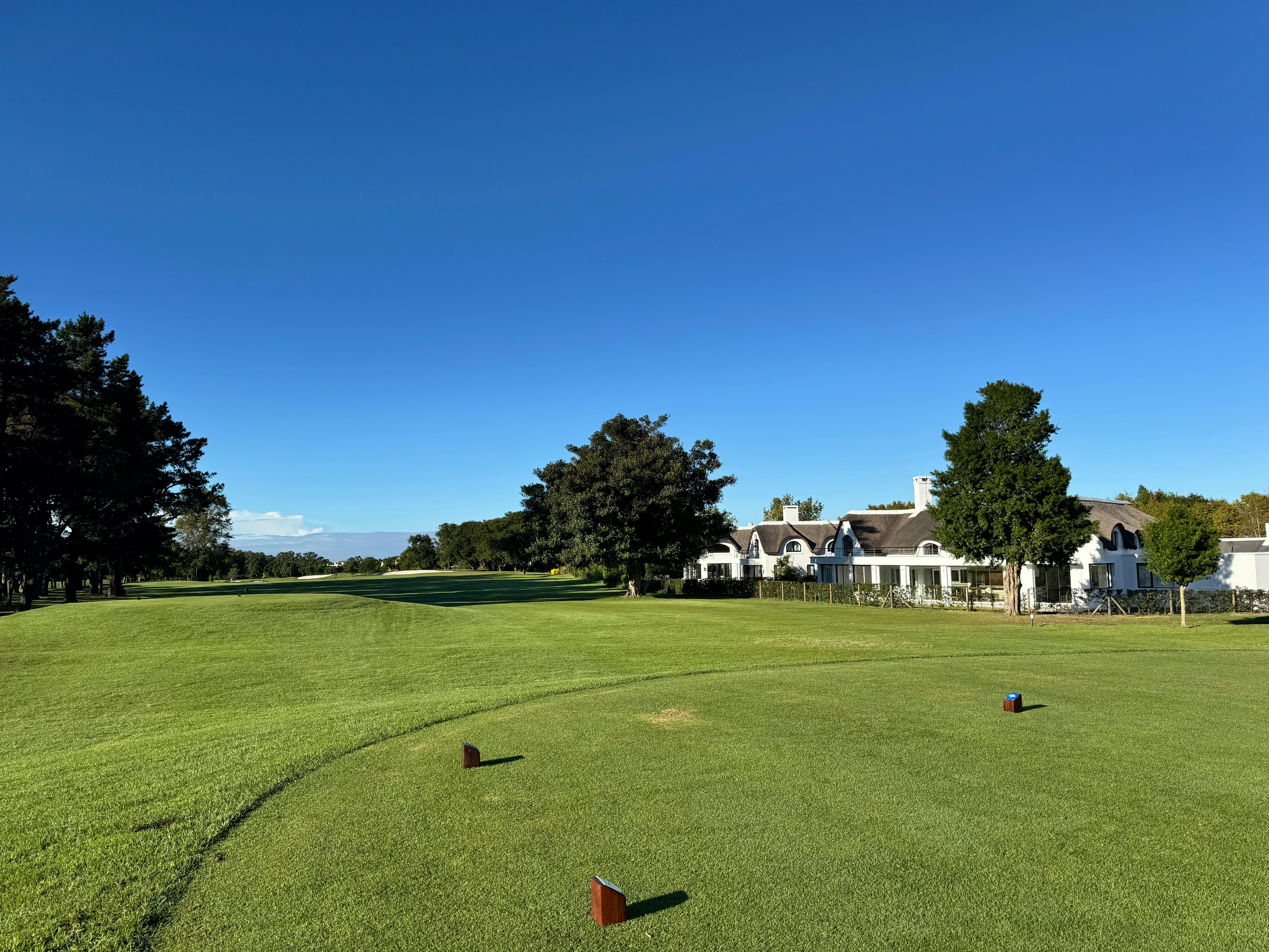 Fertilizing lawn grass for lawn care tips