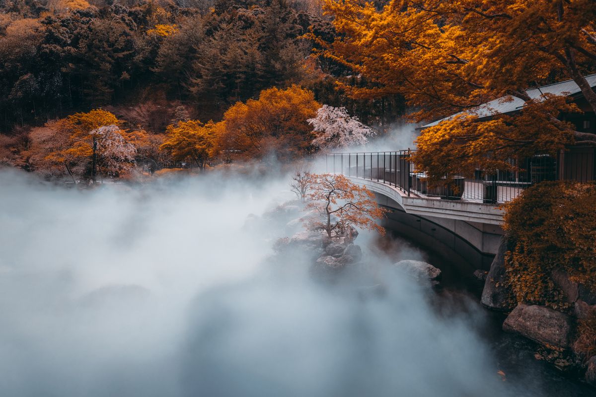 Minoo Park (Day Trip)