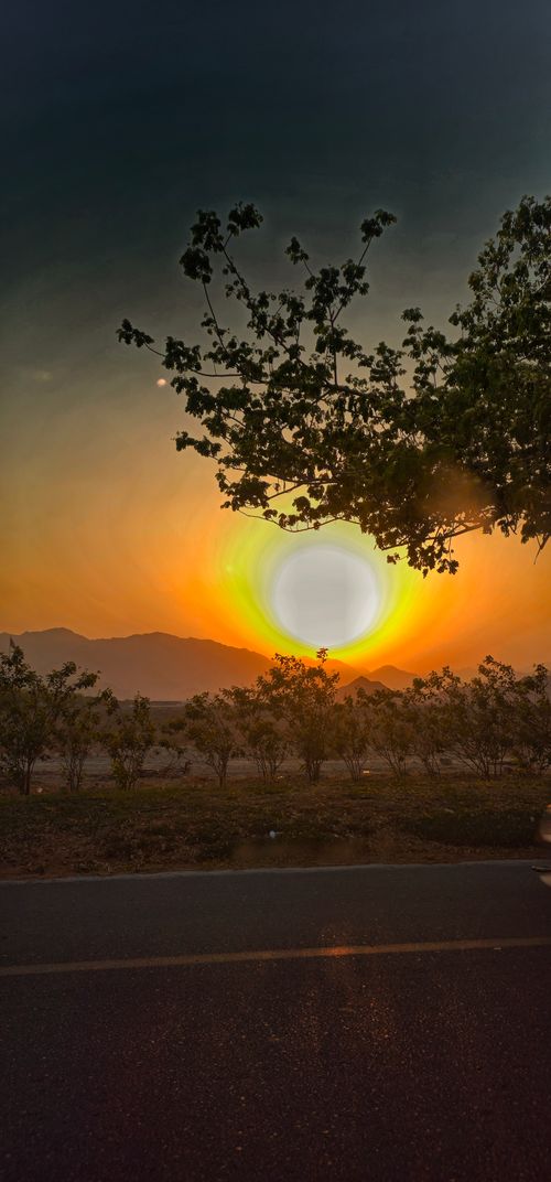 Free Sun set  Stock Photo