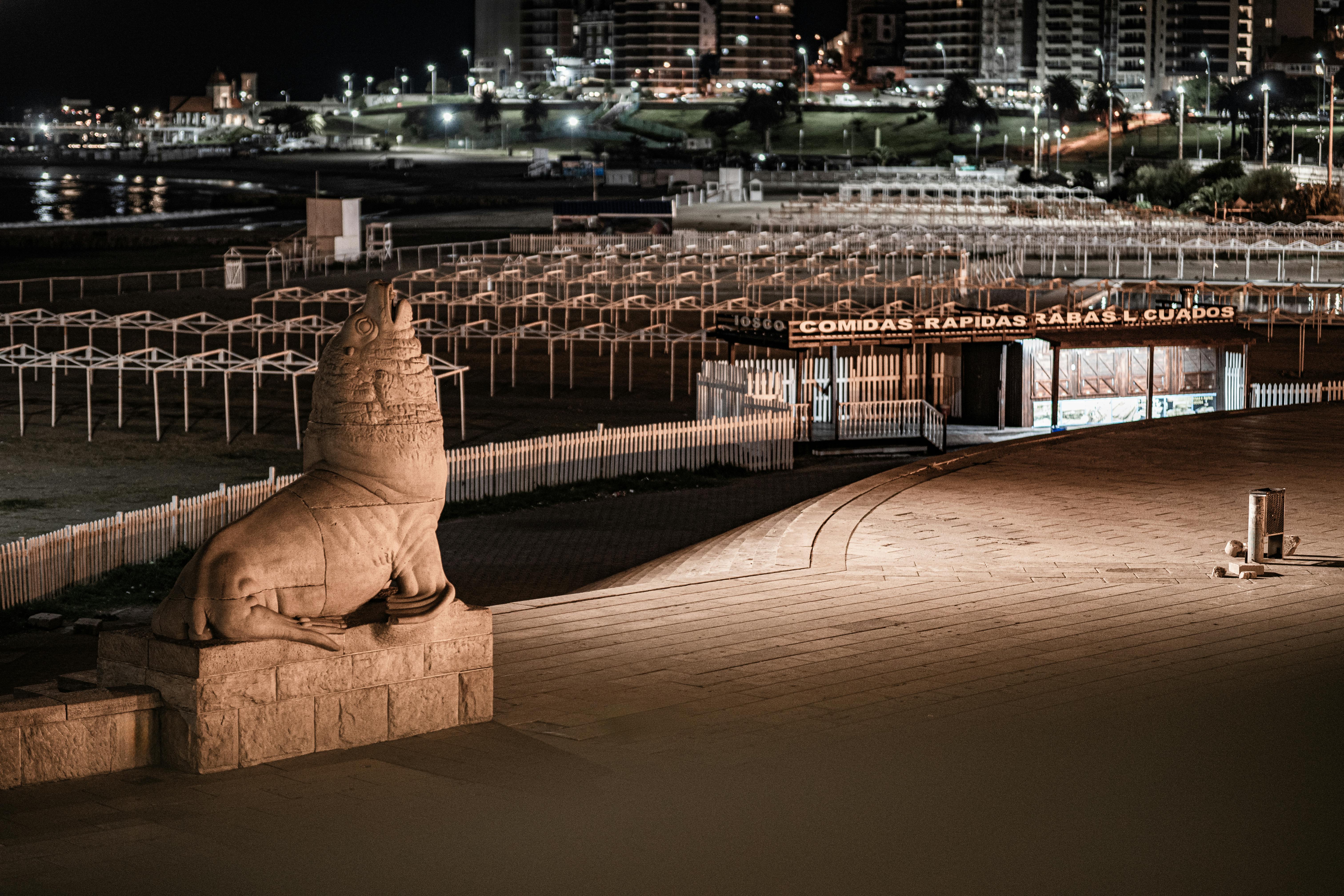 Tipos de licores: conoce los 5 más populares