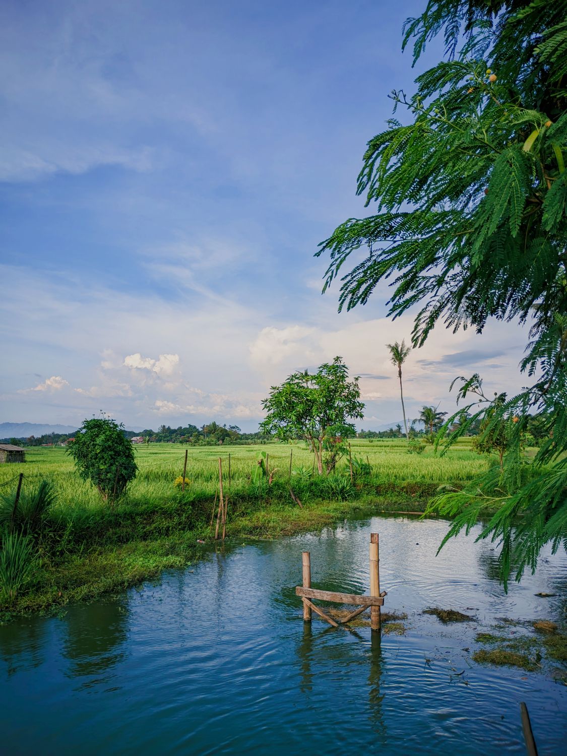 Landscape For Java Sript Serene West Java Natural Pool Landscape · Free Stock Photo