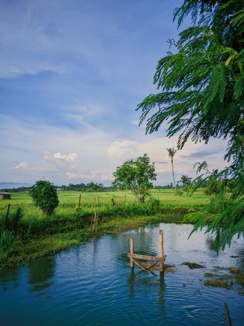 Free Explore the tranquil beauty of West Java with this scenic view of a natural pool surrounded by lush rice fields. Stock Photo