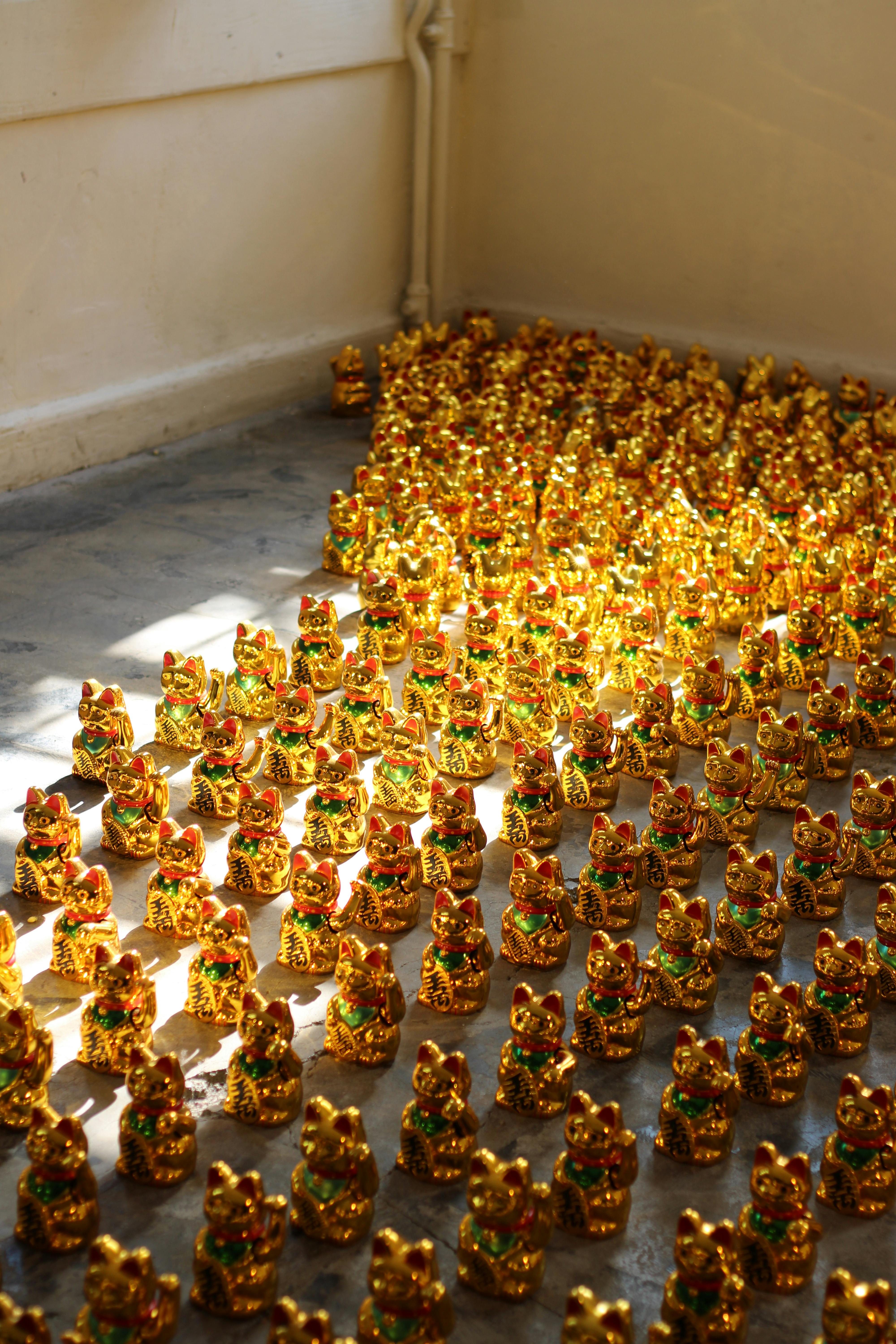 A collection of gold Maneki Neko cat statues illuminated by sunlight inside a room.