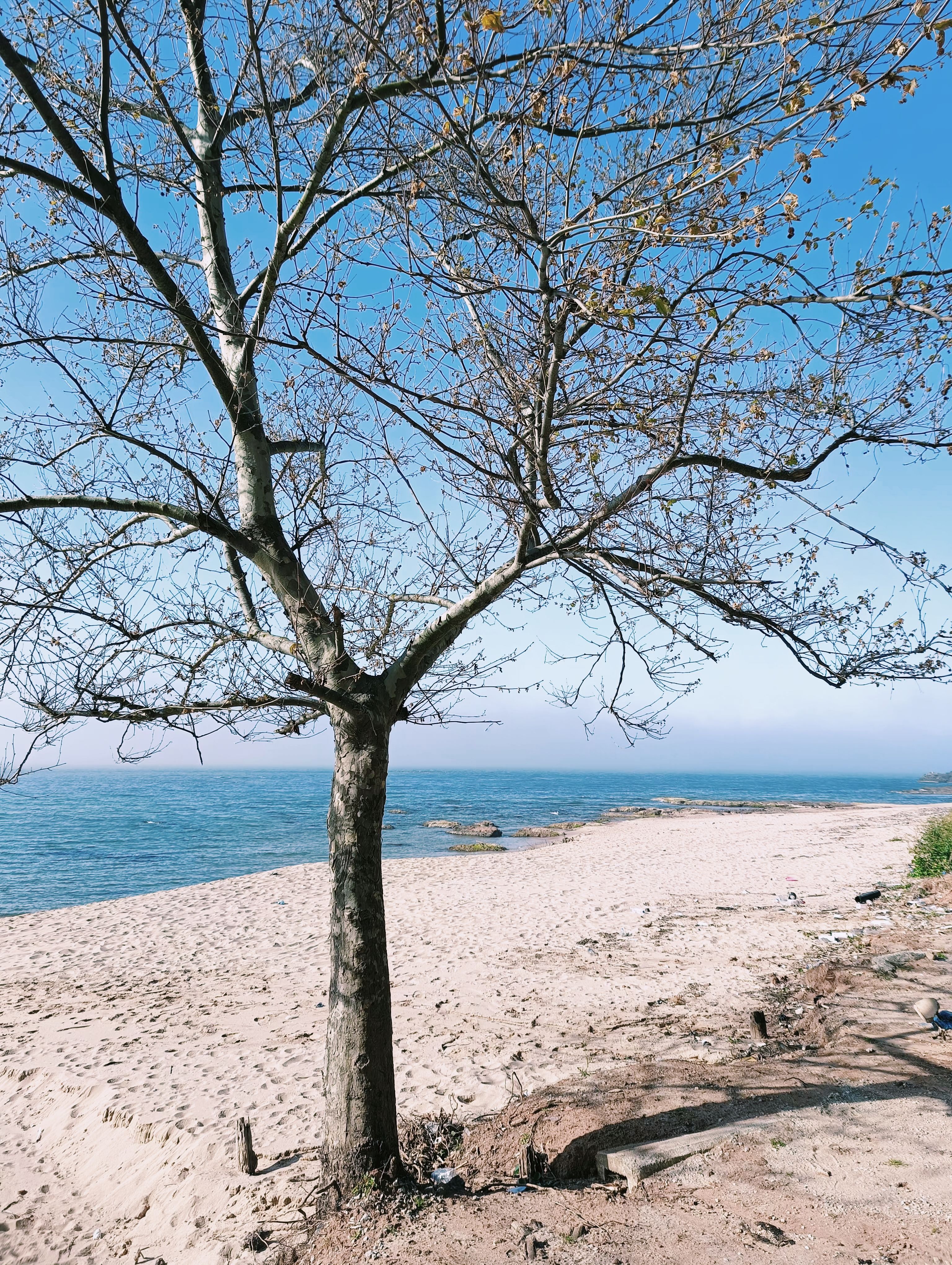 Spring In Beach Photos, Download The BEST Free Spring In Beach Stock ...
