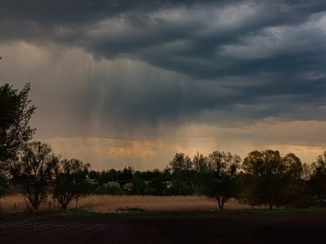 Dark storm clouds gather over a rural field, hinting at approaching rain. Captured in detail, this scene evokes a sense of impending weather change.