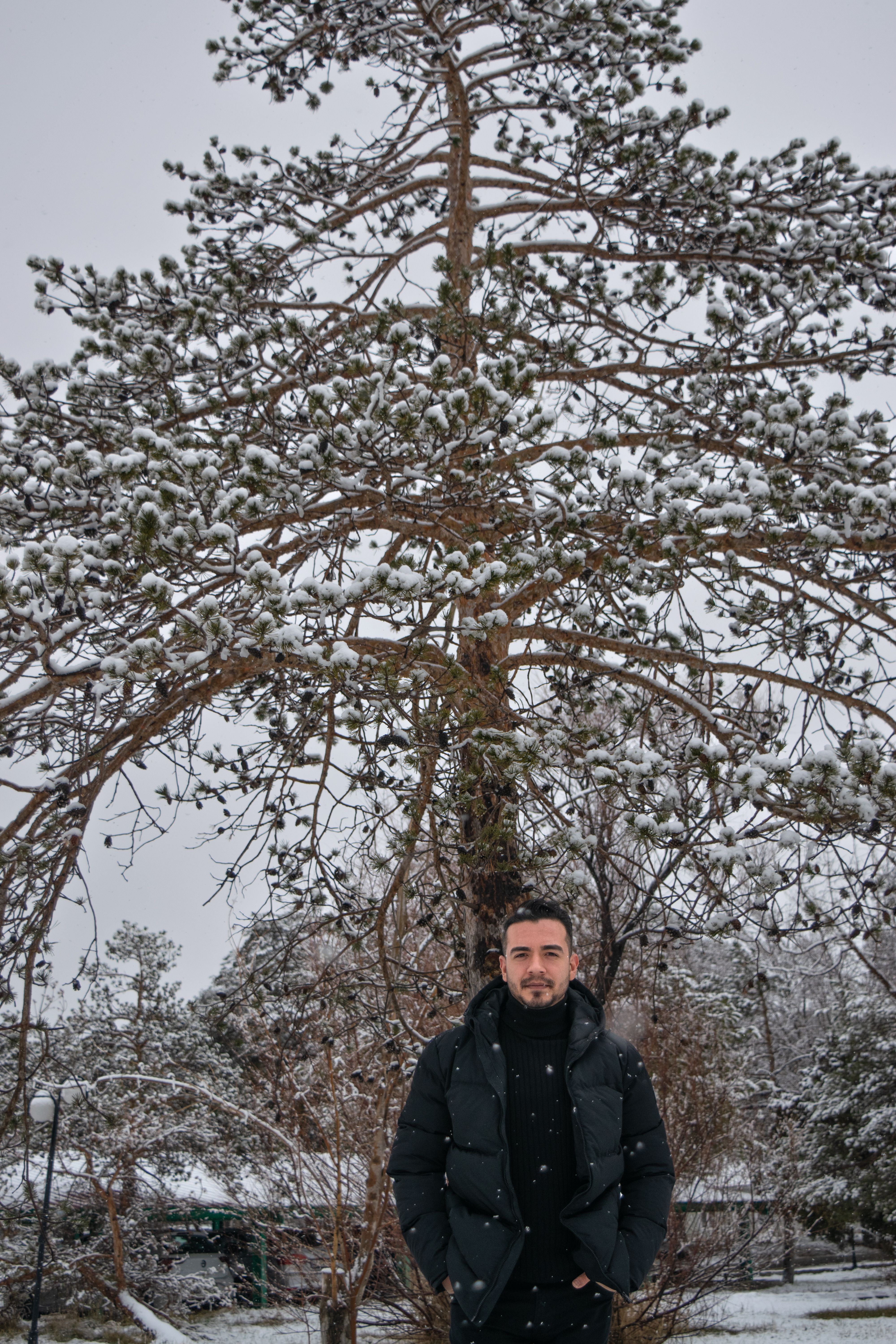 A young man stands outdoors in a snowy landscape, featuring a large tree beautifully covered in snow.