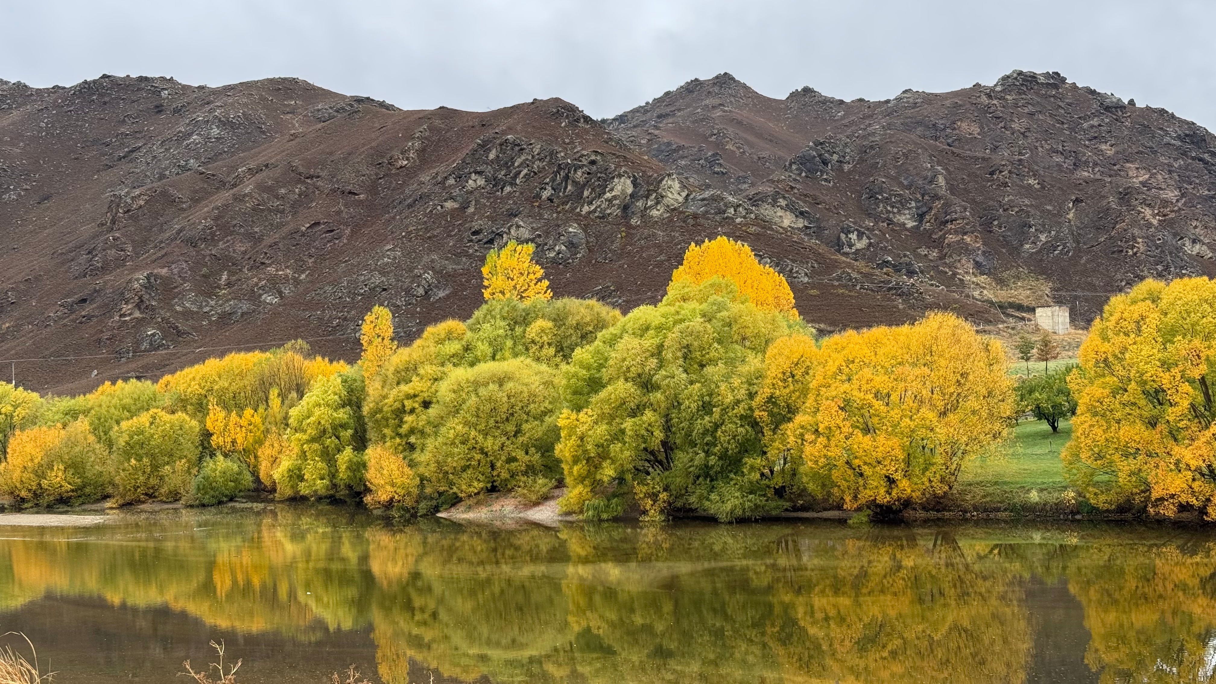 General Travel New Zealand hosts five-city roadshow in India — Photo by Khrystyna Ivanova on Pexels