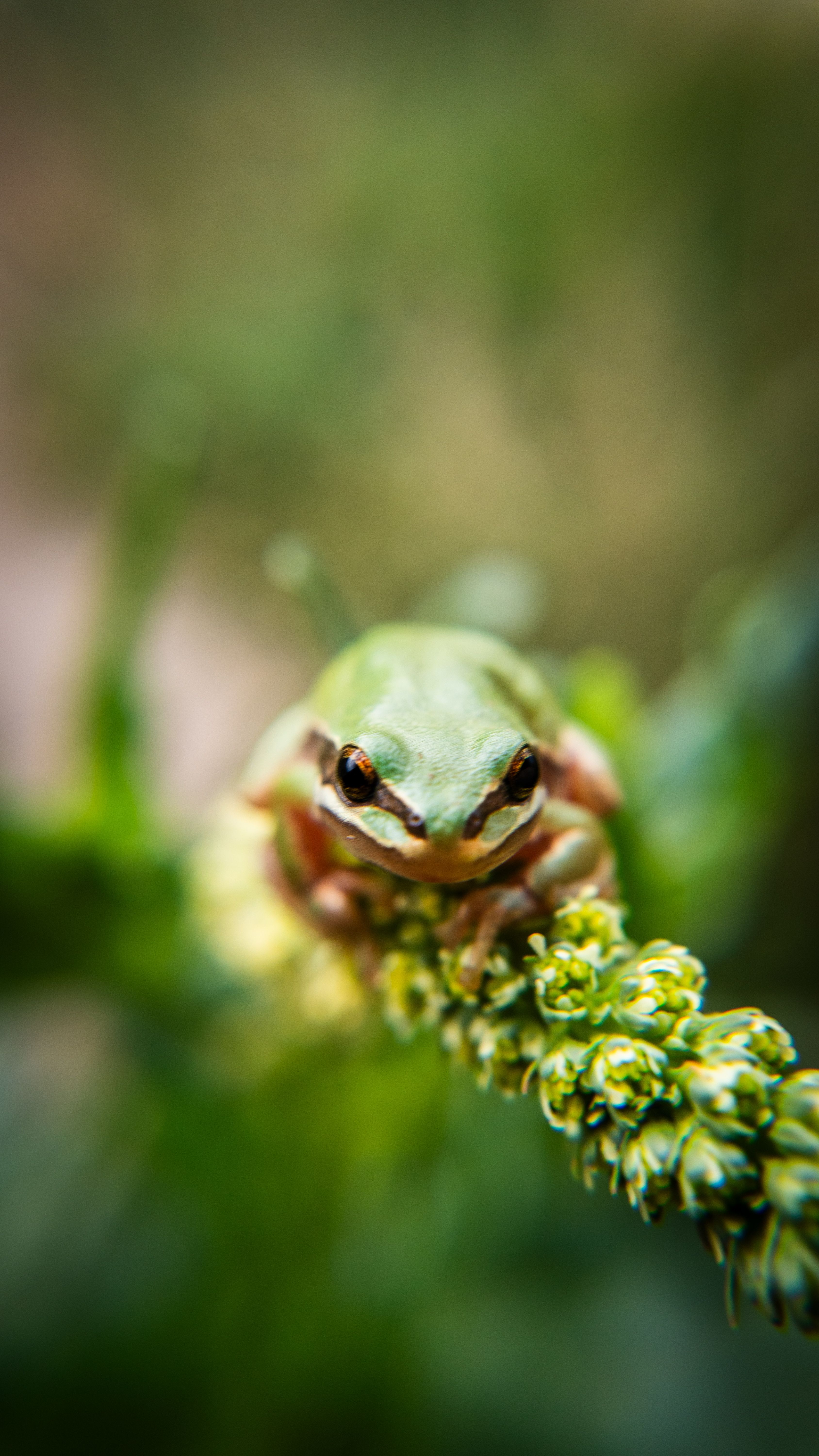 Las 10 capacidades biológicas más llamativas en la fauna mundial
