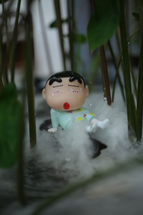Free shin chill boy - shin sauna Stock Photo