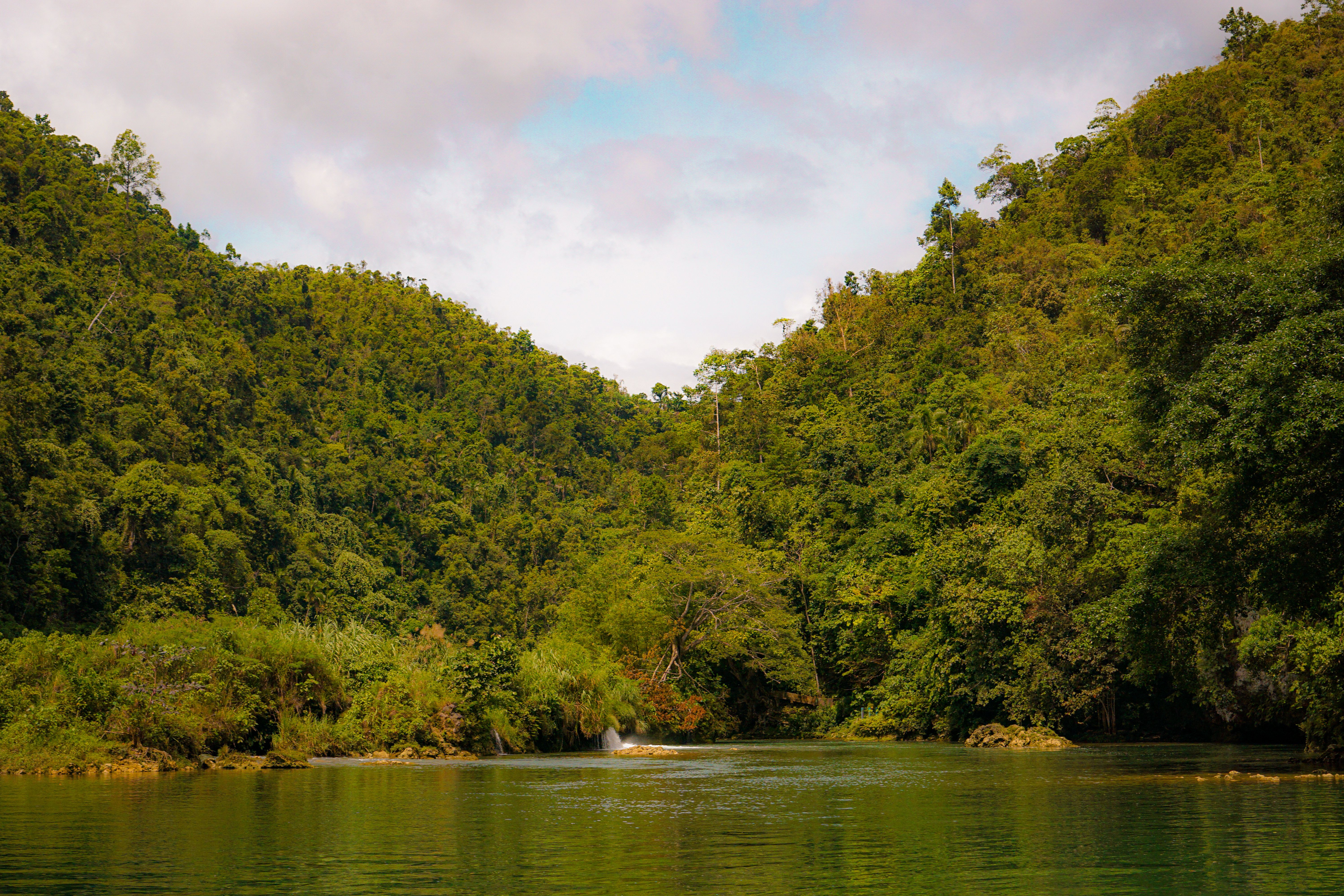 Tranquil river in lush green forest — legitimate ibogaine treatment cost reflects what must be included: cardiac screening, on-site medical professional, and the medicine itself