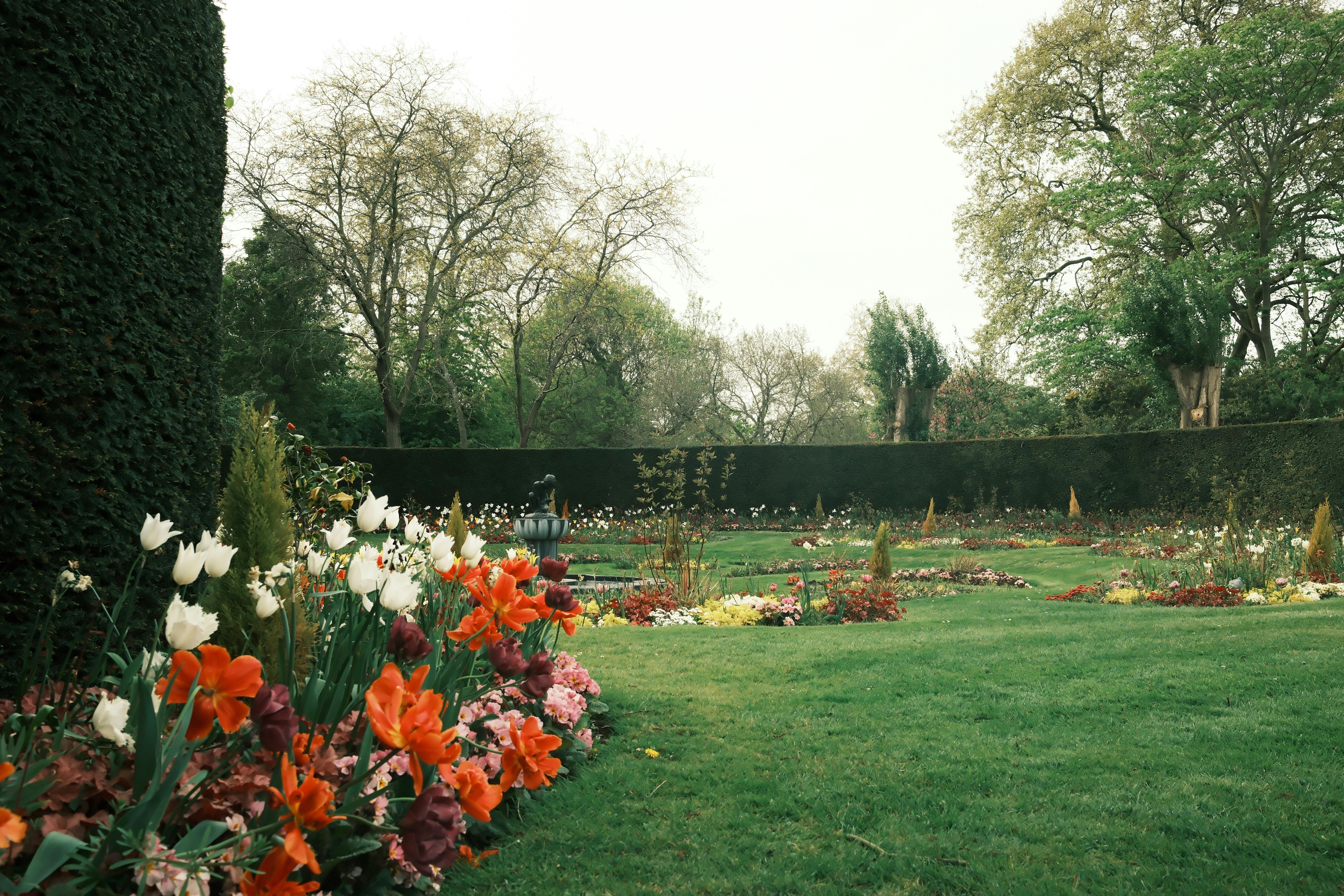Jardin luxuriant avec des fleurs vibrantes et une pelouse verte, parfait pour l'inspiration printanière.