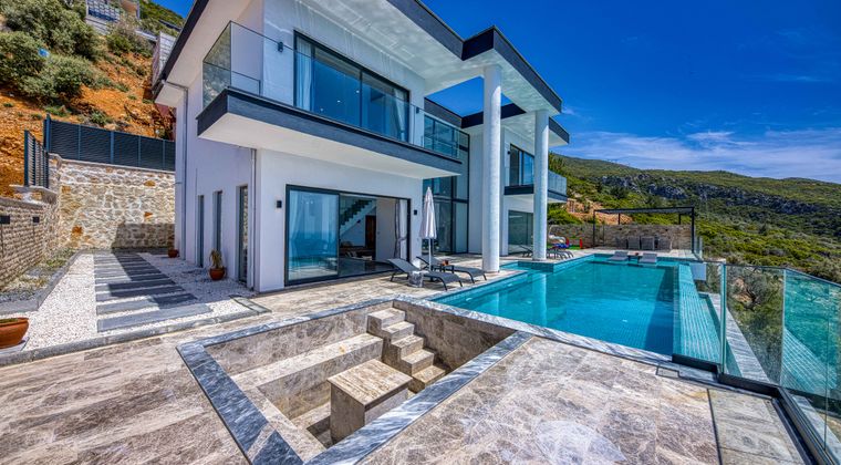 Modern villa with pool and palm trees in Coconut Grove
