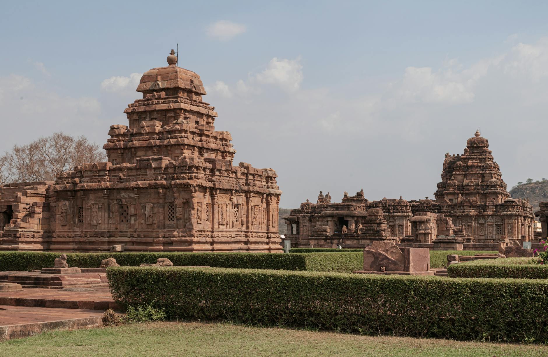Mysore Dasara Ticket: How to Book & Visit Guide