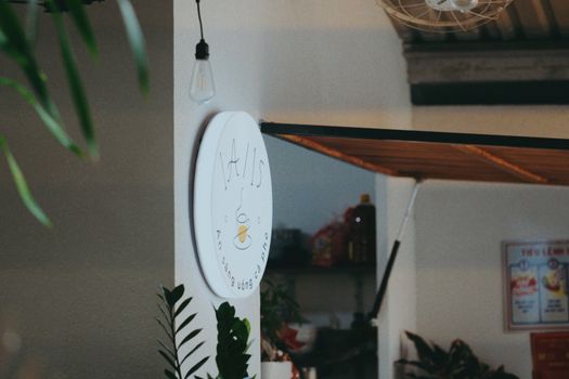 Interior view of cozy cafe with hanging plants and warm lighting