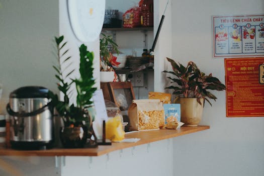 A homey kitchen counter featuring plants, snacks, appliances, and a vibrant indoor setting.