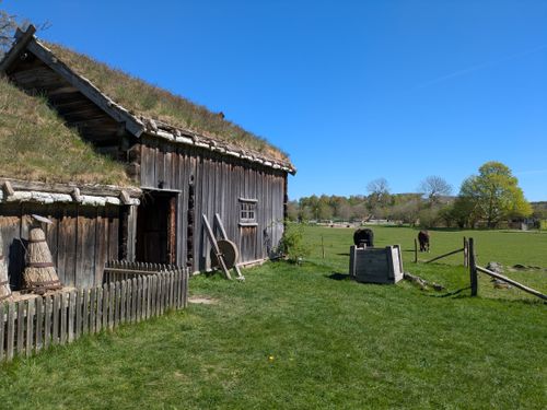 Free A picturesque rural scene with a wooden farmhouse and grazing cattle under a clear blue sky. Stock Photo