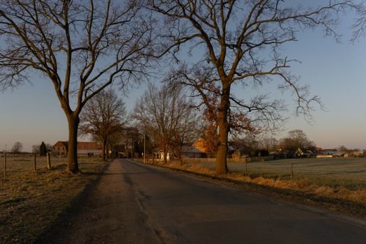 A tranquil rural scene in Achim, Germany, capturing a tree-lined road during sunset.