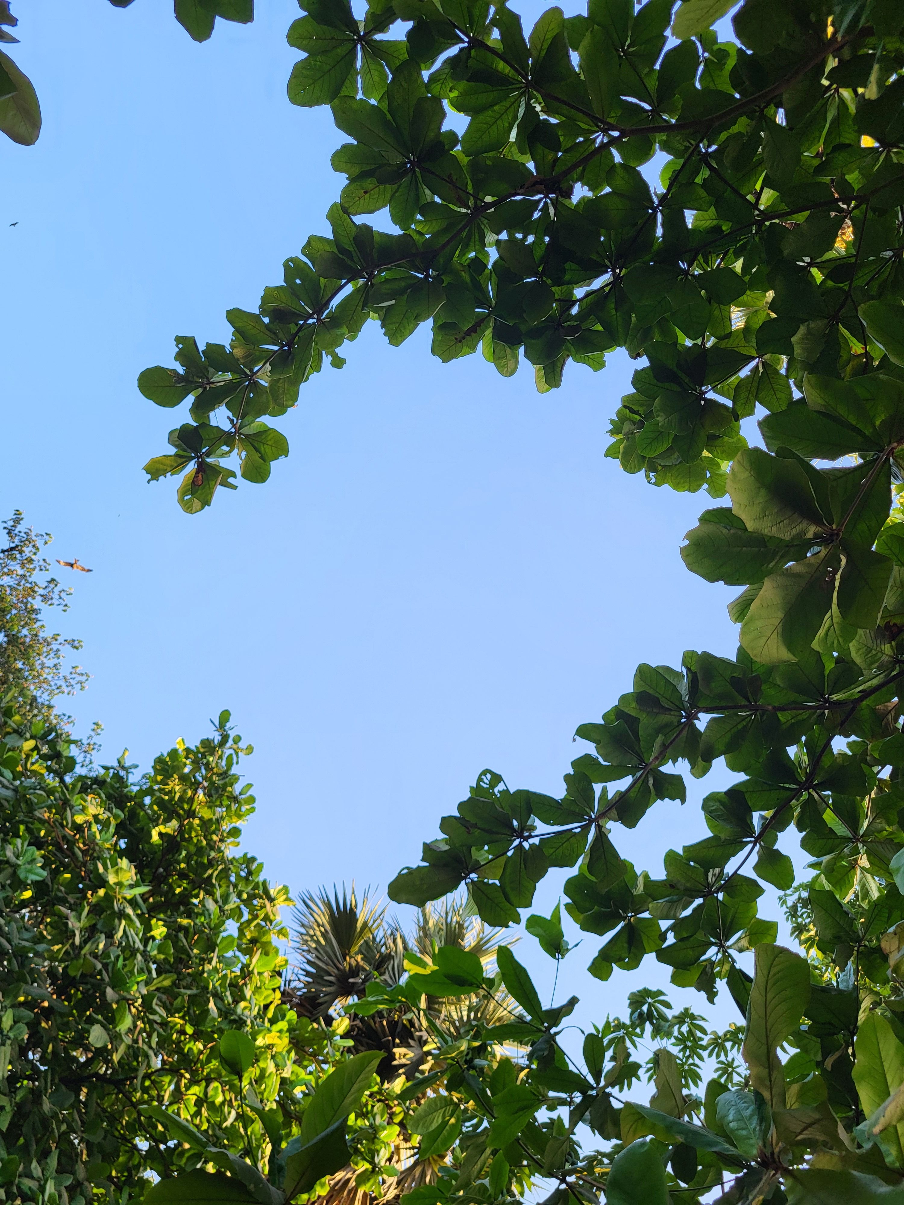 Calming Photos, Download The BEST Free Calming Stock Photos & HD Images