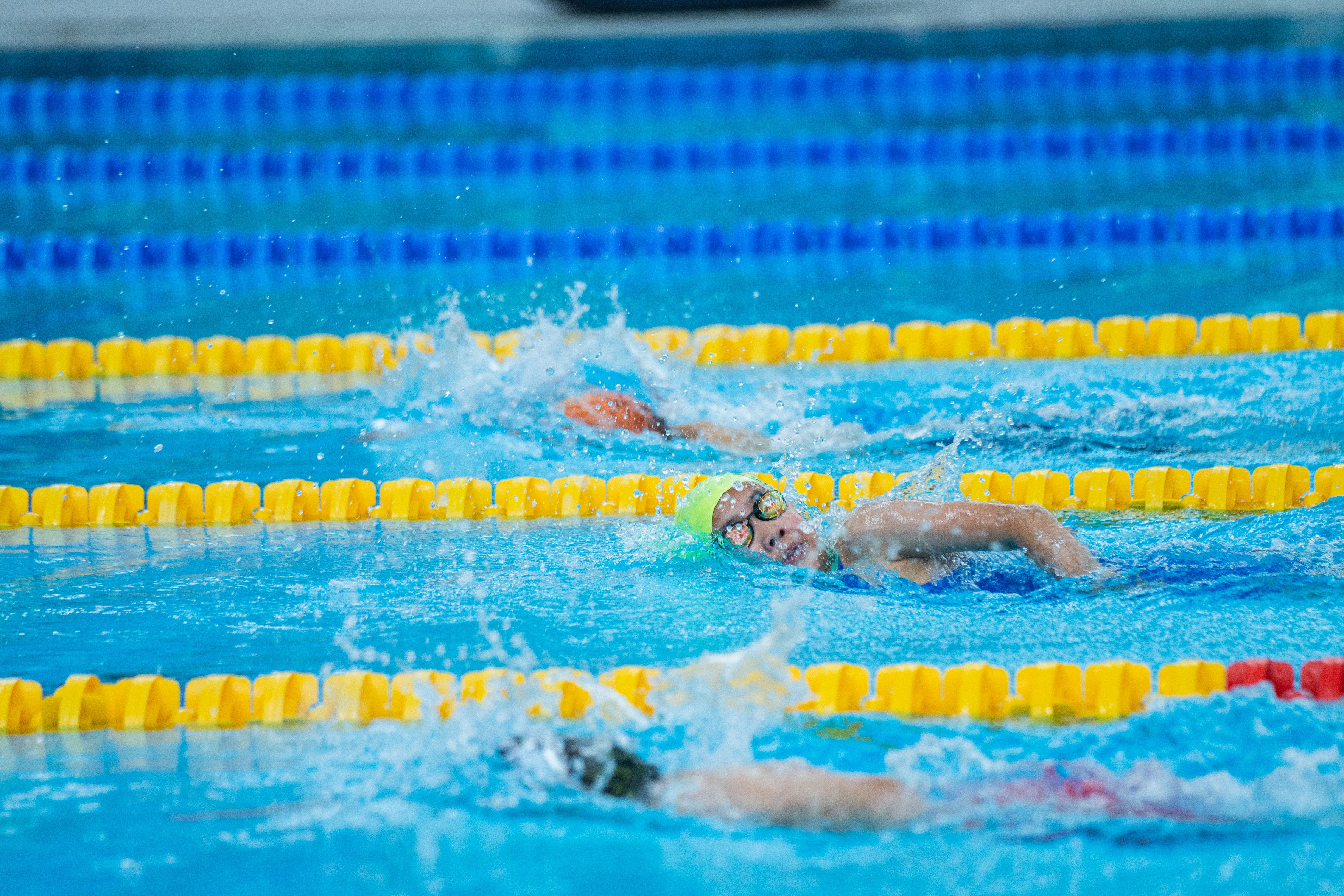 Competitive Swimmers Racing in a Pool · Free Stock Photo