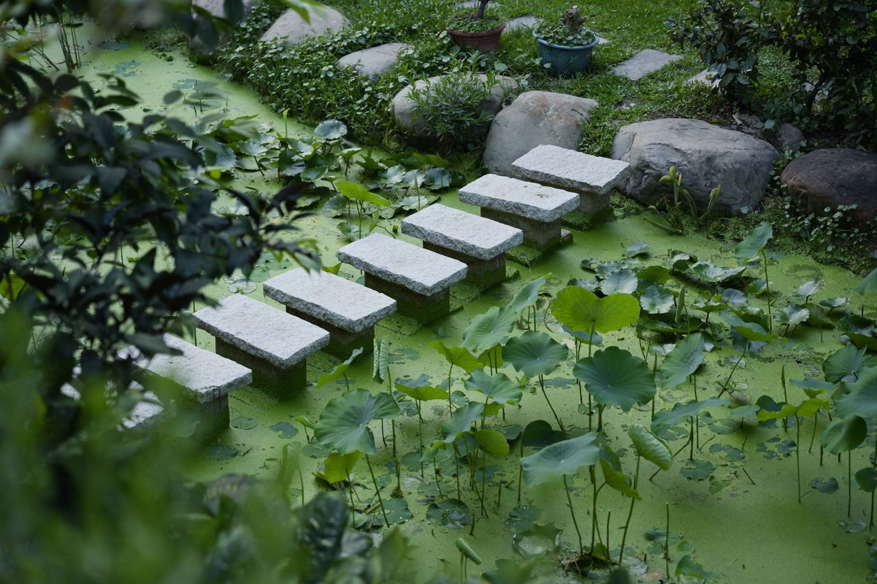flagstone-path-edging Stone steps edging a garden path