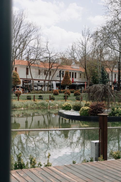 Free Tranquil park scene with a reflection pond, lush greenery, and houses in the background. Stock Photo