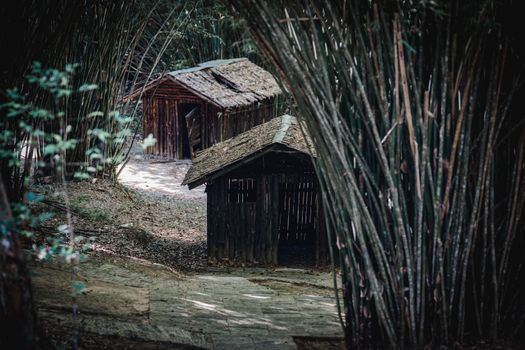 Serene bamboo huts nestled in a lush Thai forest, perfect for nature retreats.