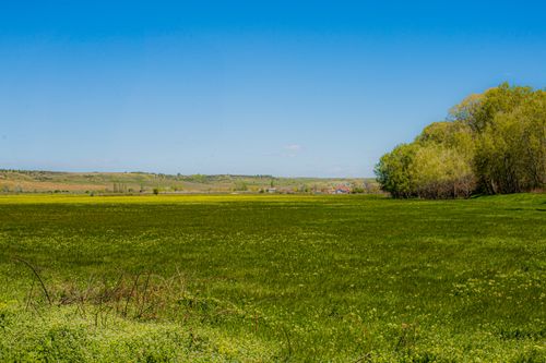 Free Expansive green field with trees under a clear blue sky, depicting serene spring scenery. Stock Photo