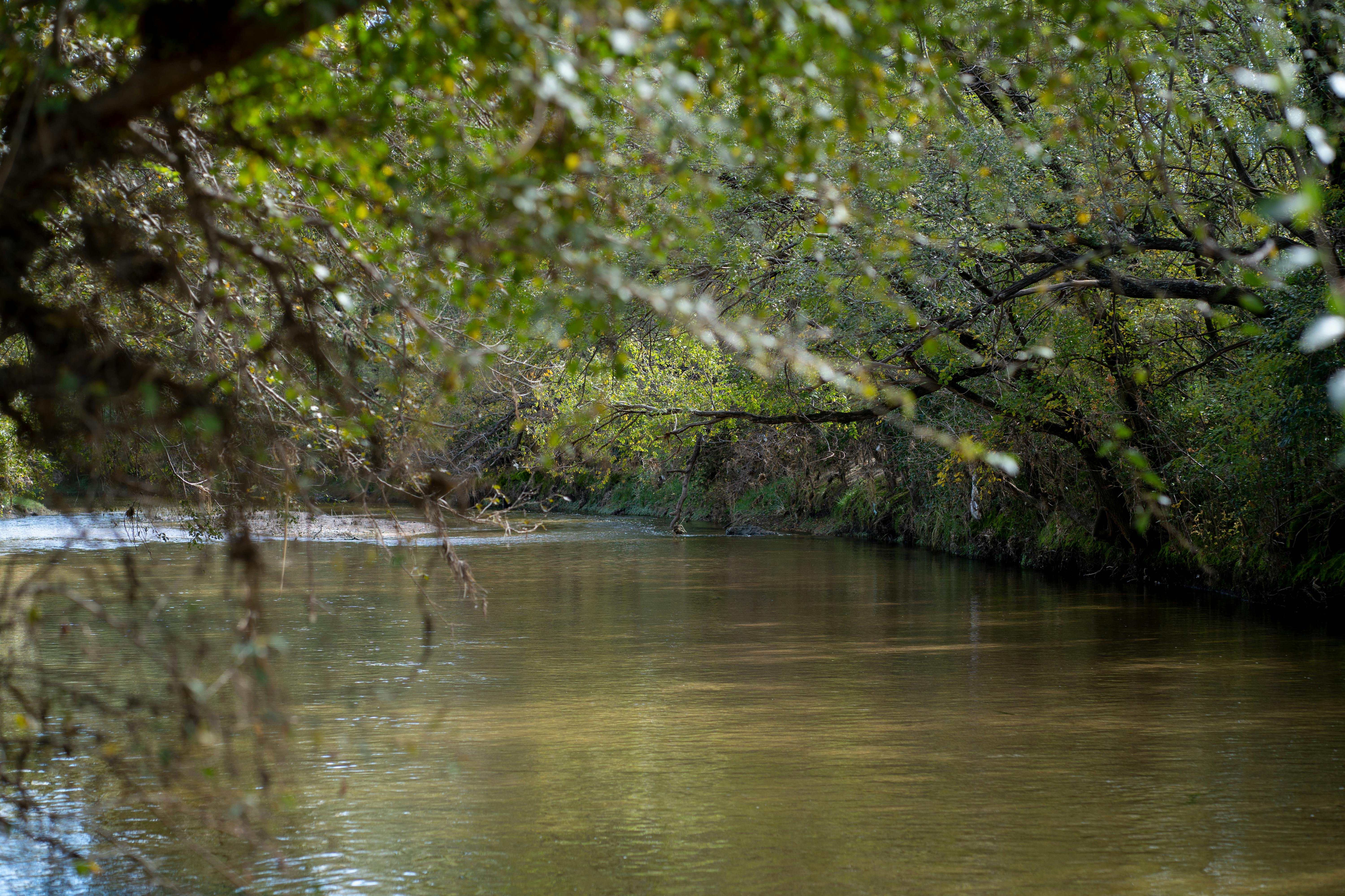 New Pajaro River Watershed Plan targets climate resilience across four counties. — Photo by Tomás Asurmendi on Pexels