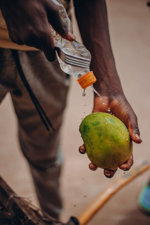 Free A person washing a ripe mango with bottled water outdoors, focusing on cleanliness and freshness. Stock Photo