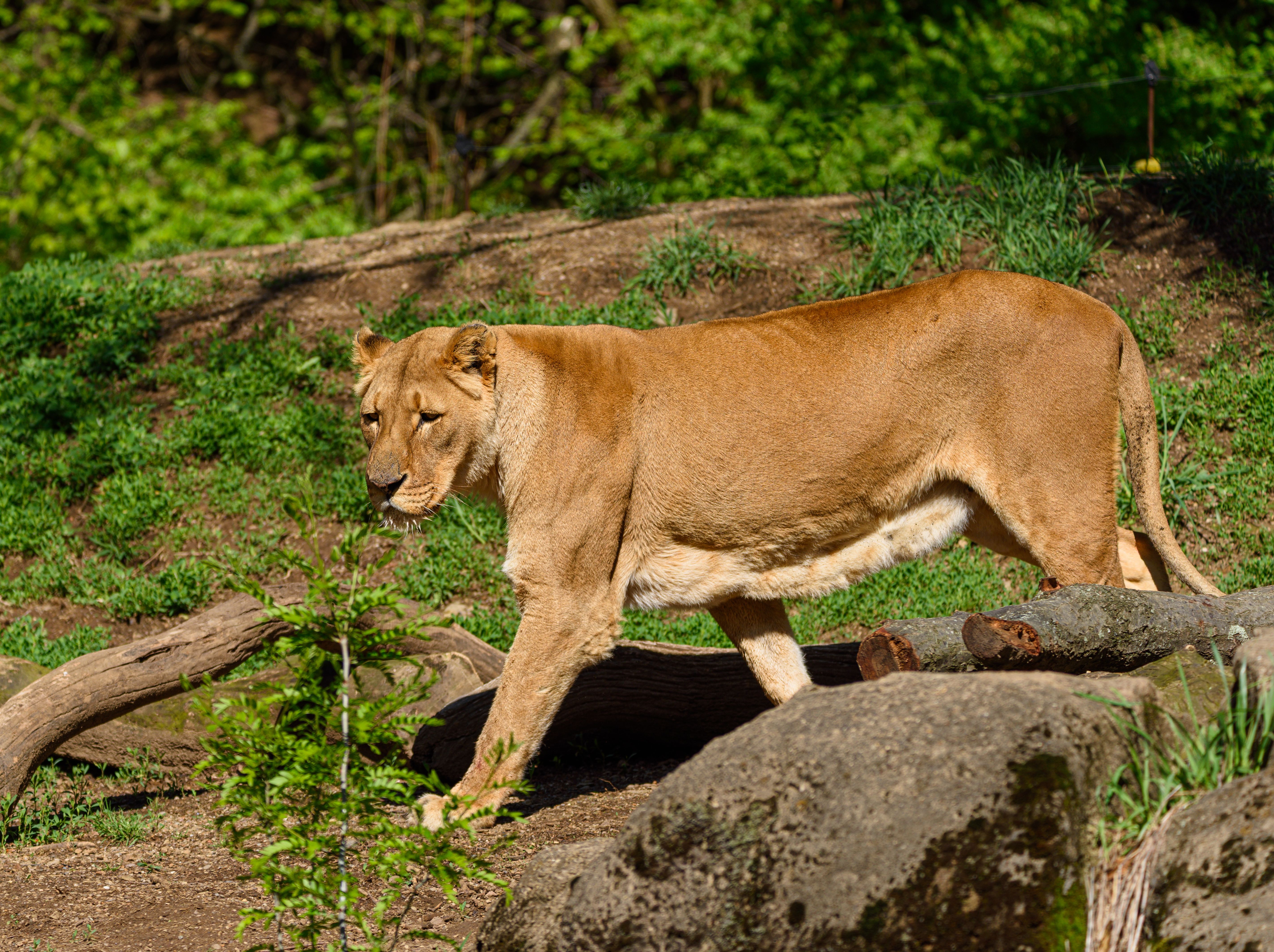 Pittsburgh Zoo & PPG Aquarium
