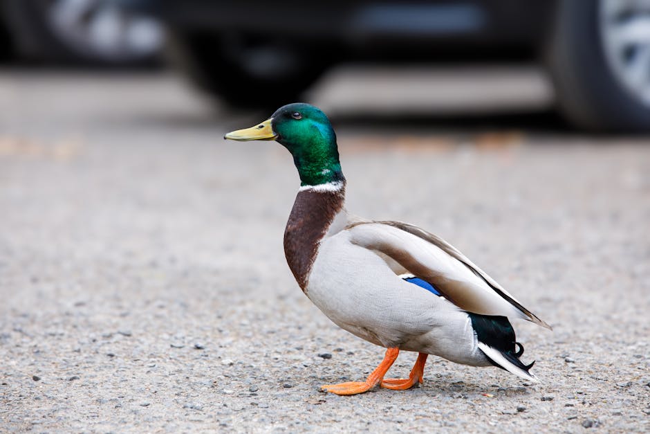 Urban Foraging: Discover Nature's Bounty in the City